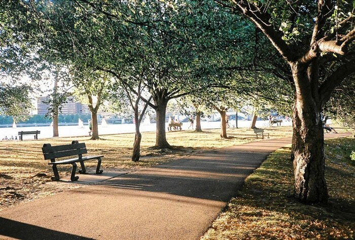 8. Существует распространенное заблуждение о том, что для получения идеальных кадров нужно дорогое оборудование.