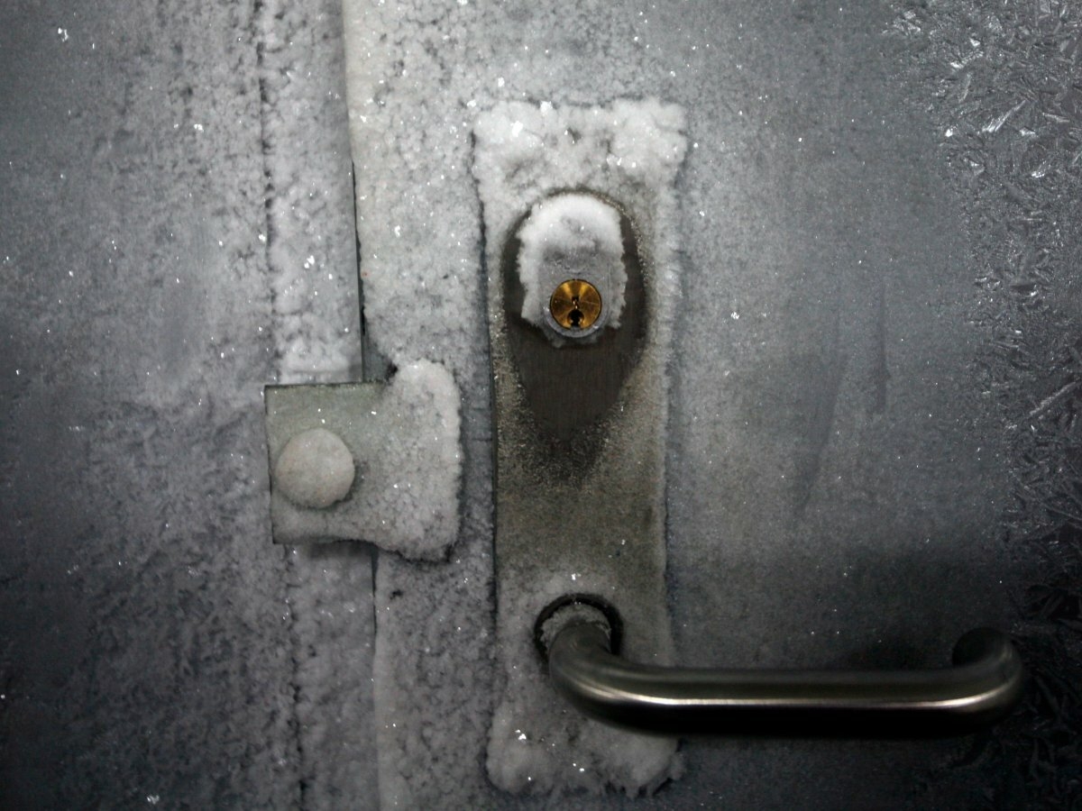 13. Температура внутри хранилища -18 °C, что позволяет сохранять способность семян к всходам тысячи лет.