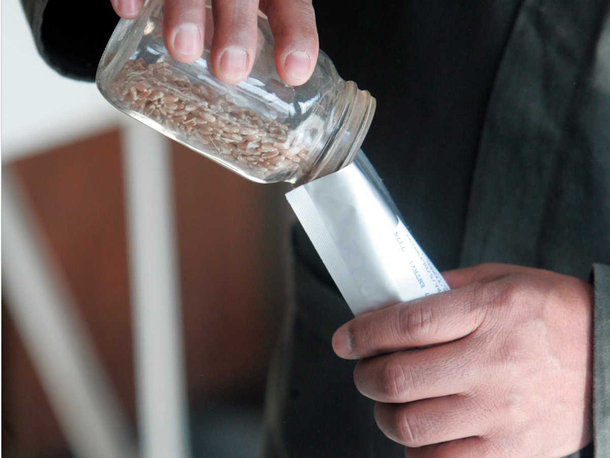 17. Чтобы защитить семена от порчи, из запечатывают в фольгу, а потом еще и в специальные контейнеры.