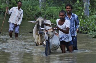 zhertvy-navodneniya-v-nepale-1