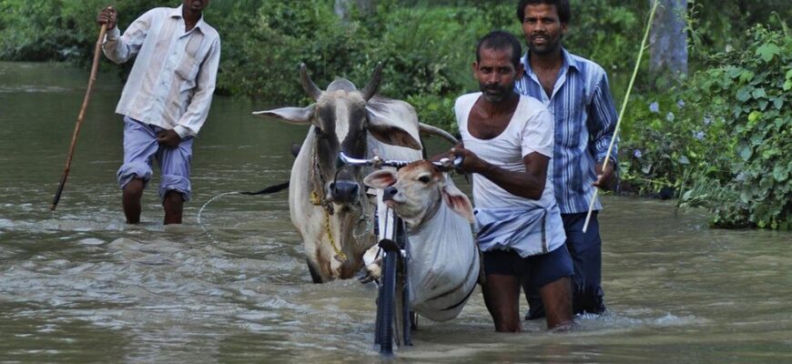 zhertvy-navodneniya-v-nepale-1